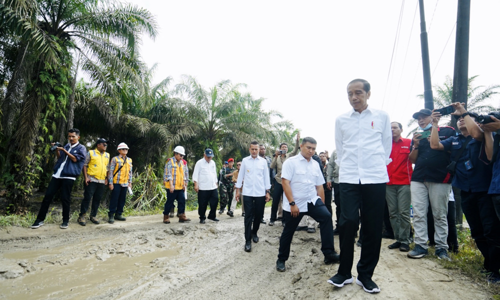Bersama Wagub Musa Rajekshah Jokowi Tinjau Jalan Rusak Di Labura Juli Mulai Diperbaiki
